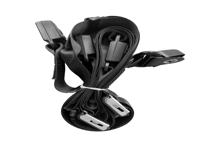 Disk-Fixed-Restraint-System-RS5